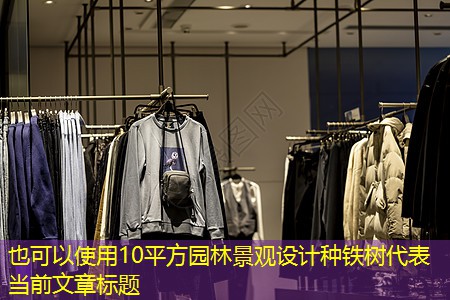 10平方园林景观设计种铁树 10平方园林景观设计种铁树